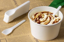 PLA Ice Cream Spoon